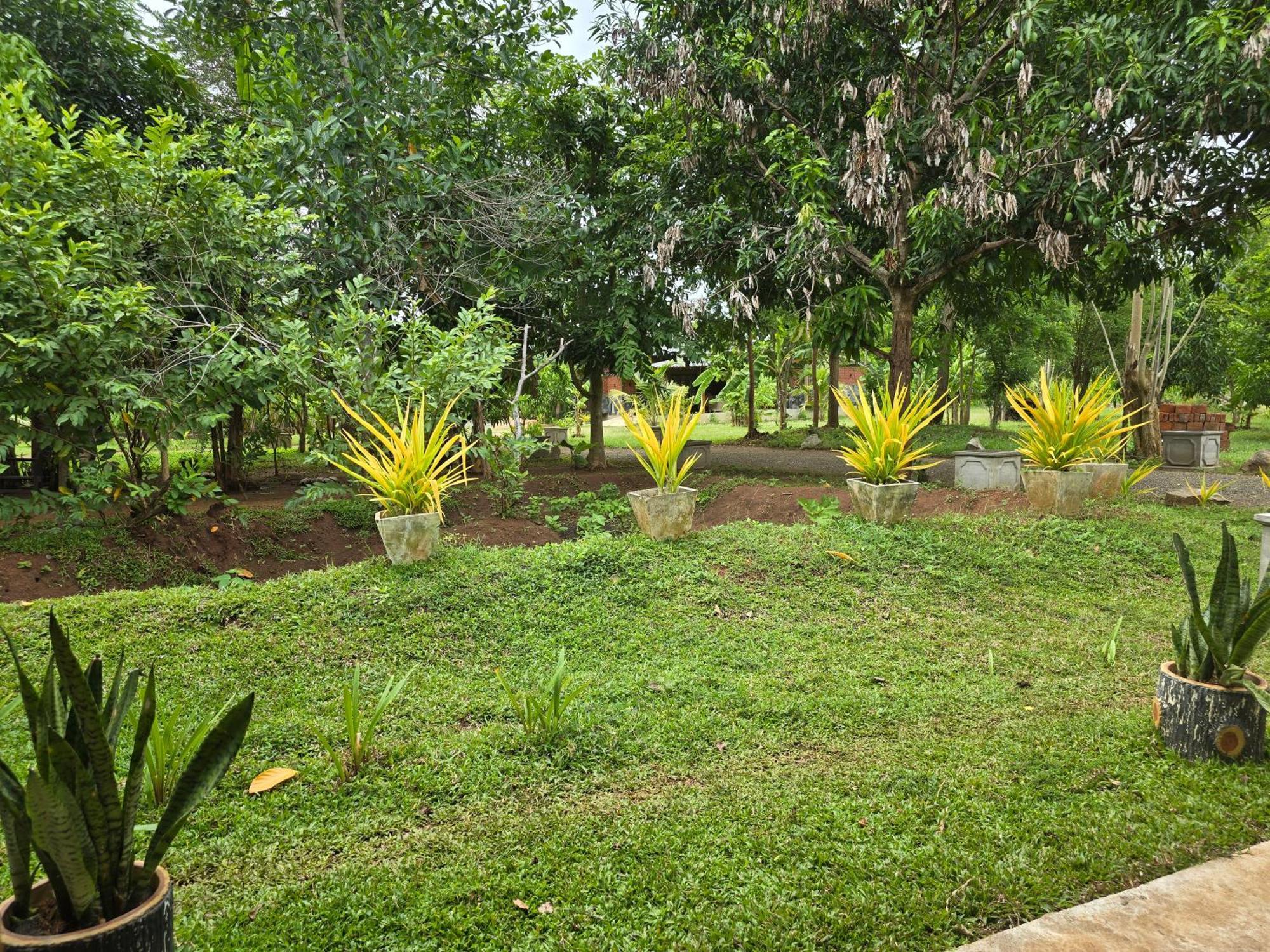 Ceylon Resort Wilpattu Luaran gambar