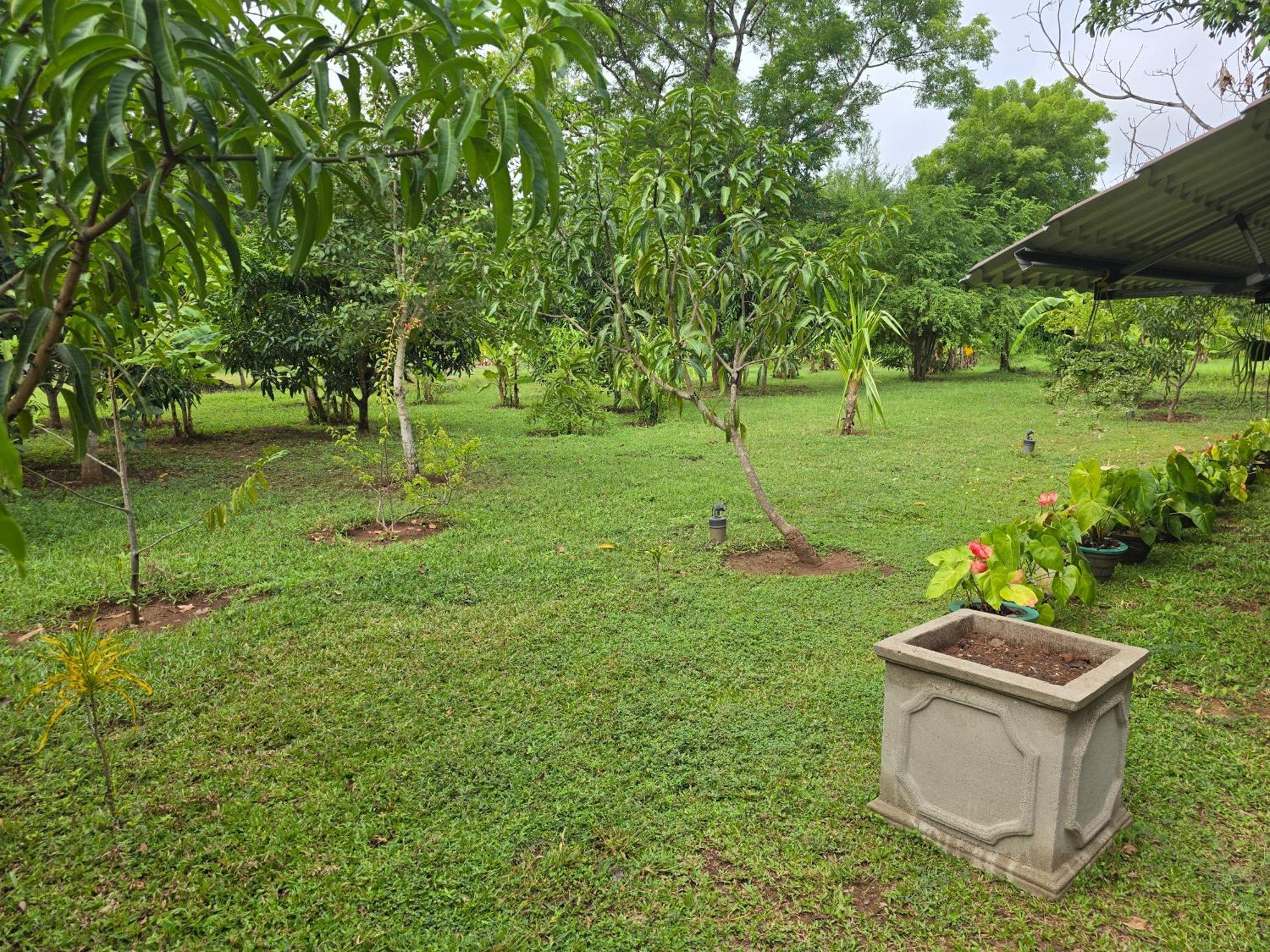 Ceylon Resort Wilpattu Luaran gambar
